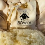 (Bild für) Bio-Wollkügelchen (kbT) als Füllmaterial - 300g in Baumwolltasche