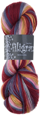 (Bild für) Atelier Zitron Filigran Color 100g : 100
