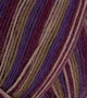 (Bild für) Atelier Zitron Trekking 4-fach Color 100g : 712
