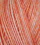 (Bild für) Atelier Zitron Trekking 4-fach Color 100g : 795