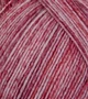 (Bild für) Atelier Zitron Trekking 4-fach Color 100g : 798