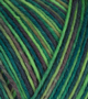 (Bild für) Atelier Zitron Trekking 6-fach Color 150g : 2007
