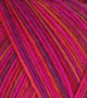 (Bild für) Atelier Zitron Trekking 6-fach Color 150g : 2009