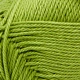 (Bild für) Elisa Apollo 50g : 2641 greenery