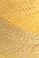 (Bild für) Schachenmayr Tahiti 50g - Sonderangebot : 7694 sunflower