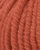(Bild für) Sesia New One (RWS) 100g : 5886 Terra di Siena
