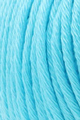 (Bild für) Sesia Windsurf 50g : 0064 Turchese