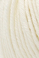 (Bild für) Sesia Windsurf 50g : 0080 Avorio