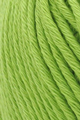 (Bild für) Sesia Windsurf 50g : 1451 Pistacchio